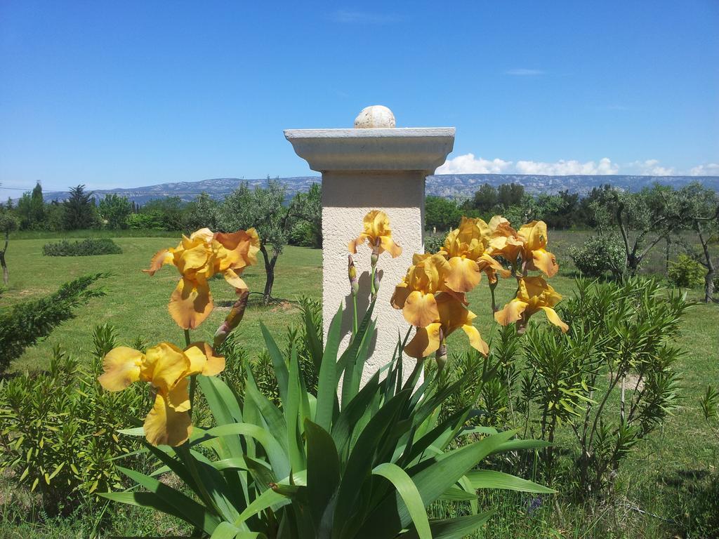 Lamanderie En Provence Bed & Breakfast Alleins Екстериор снимка